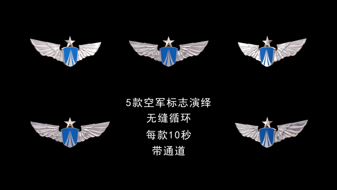 5款空军标志旋转循环视频