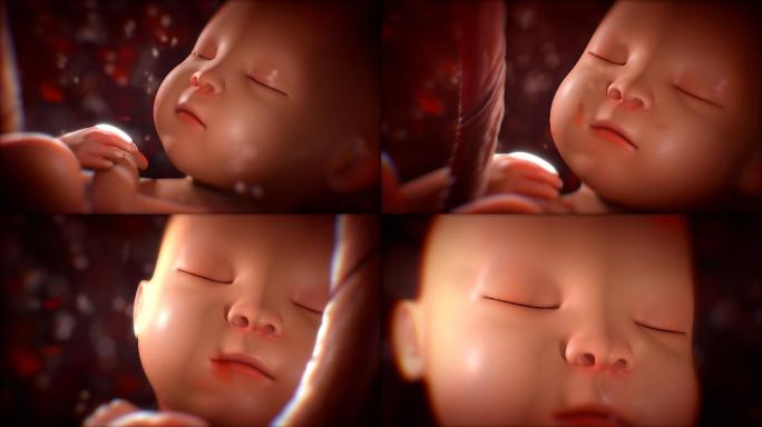 婴儿在母亲的子宫里的动画展示