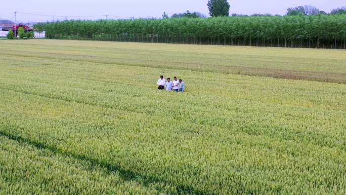 村干部与农民麦地交流