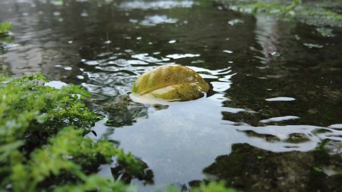 意境雨天浪漫清新