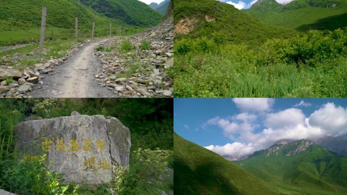 太子山古茶市