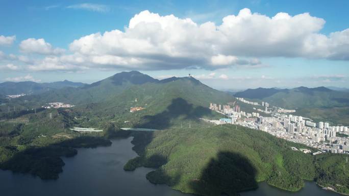 飞跃梧桐山