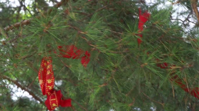 六顶山大佛寺院佛像金佛寺庙祈福许愿佛祖