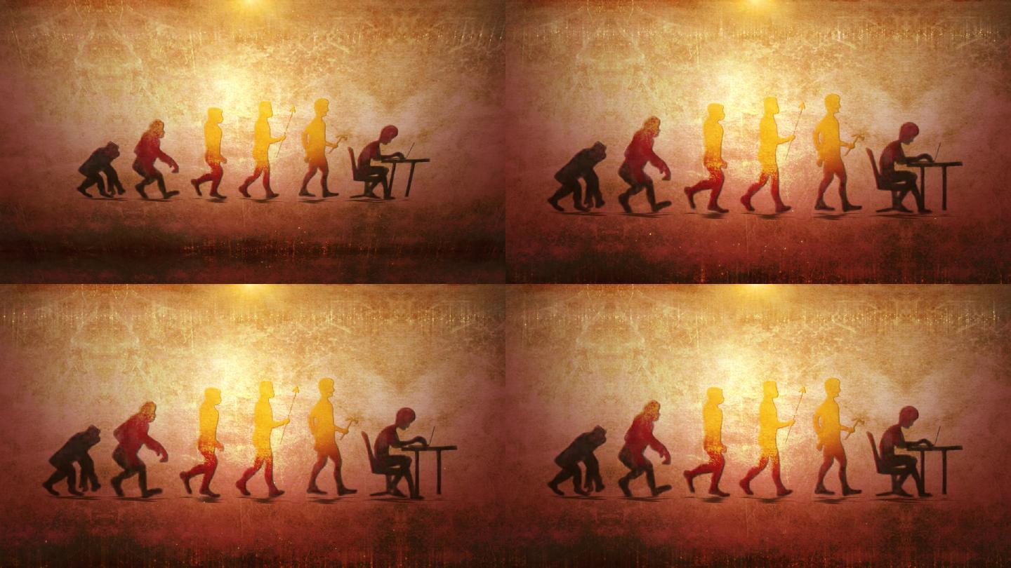 人类进化史mg动画