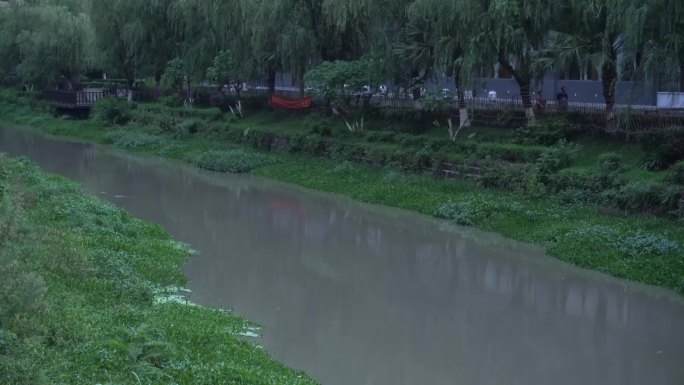 河沟河道污染水渠