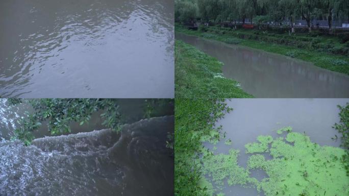 河沟河道污染水渠