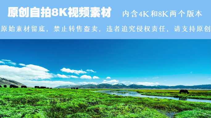 8K和4K理塘绿色草原移动延时1
