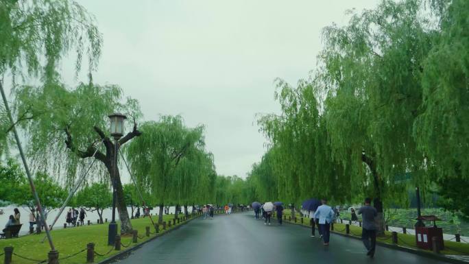 湖堤上的风景