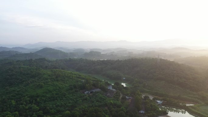 航拍日出村庄美景晨曦树林新农村大自然面貌