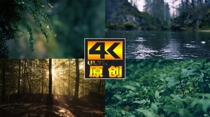 雨水雨滴逆光森林房地产园林，清新禅意空镜