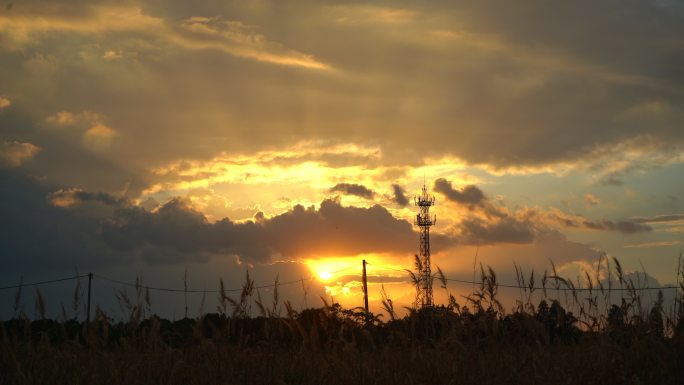 夕阳西下唯美光线下飘动的杂草信号塔