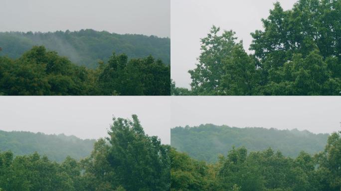 雨中的山和树