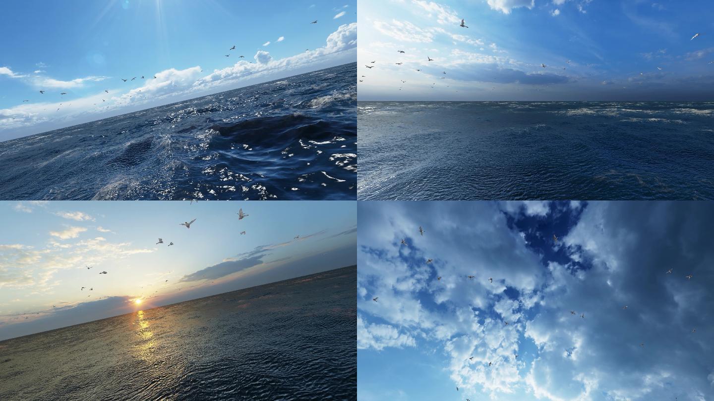 4K大海海鸥飞翔合集