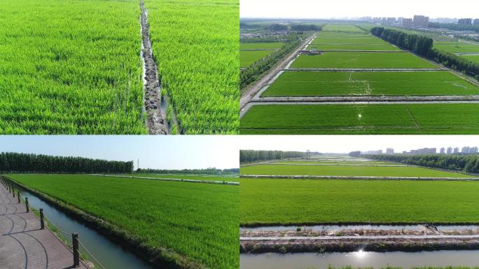 农田水利灌溉