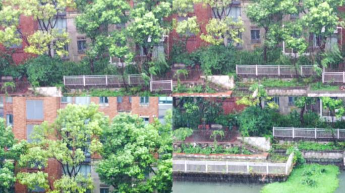 瓢泼大雨降水降雨4k升格慢动作