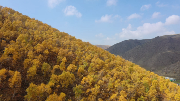 乌兰察布黄花沟