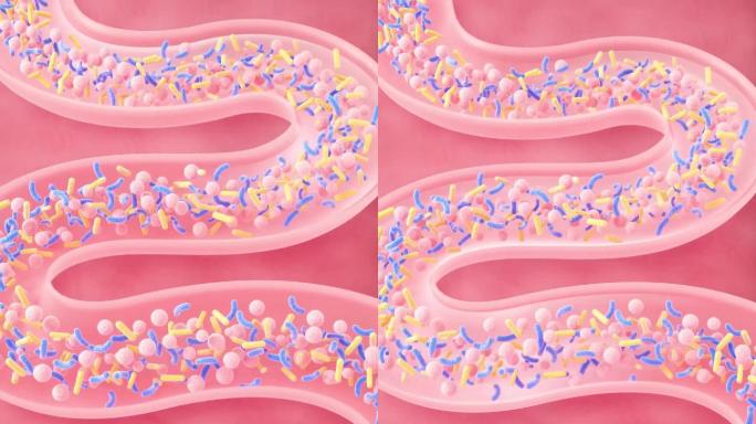 c4d肠道地衣芽孢益生菌消化系统三维动画