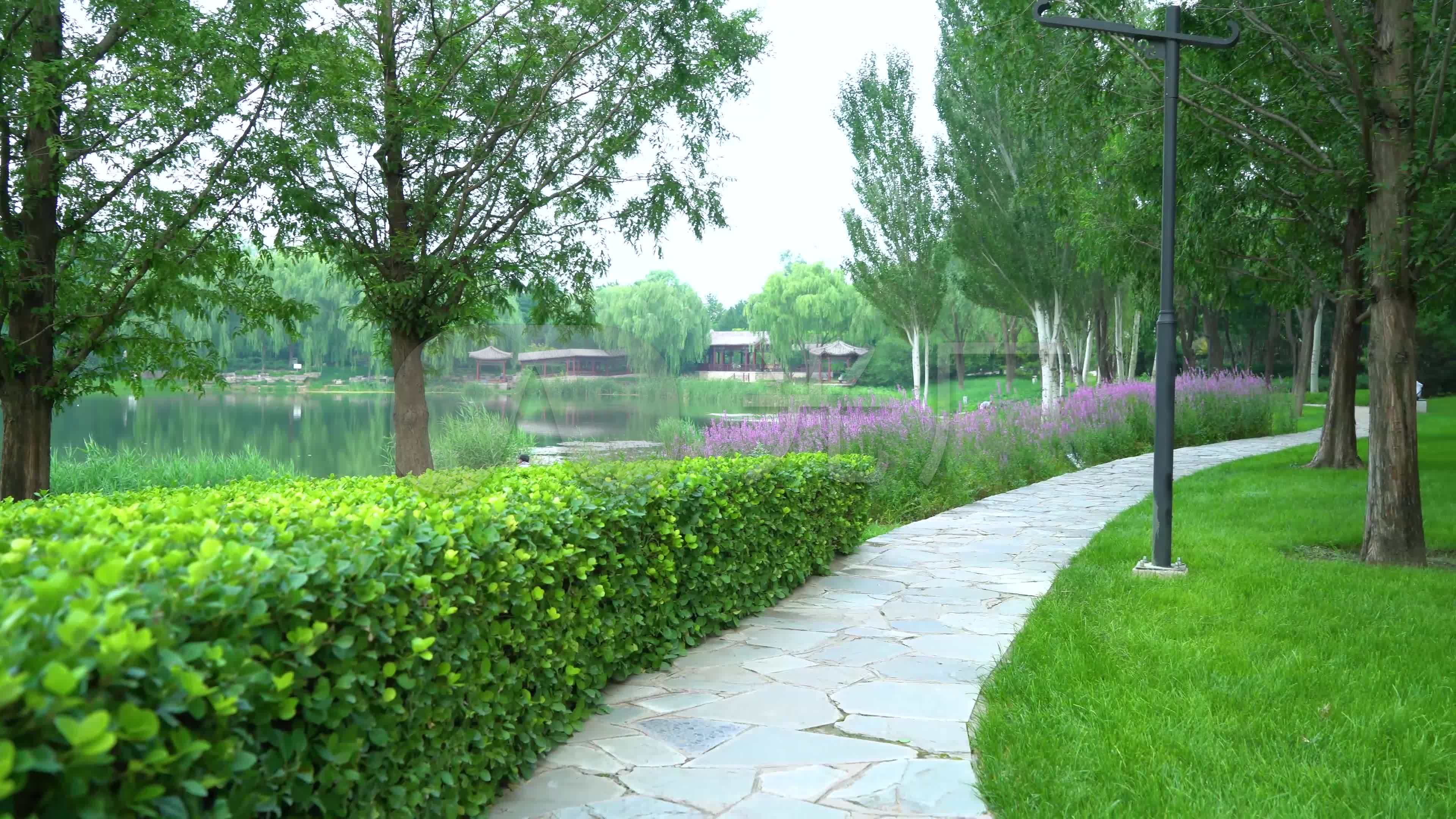 公园绿植_3840x2160_高清视频素材下载(编号:6187470)_实拍视频_vj师