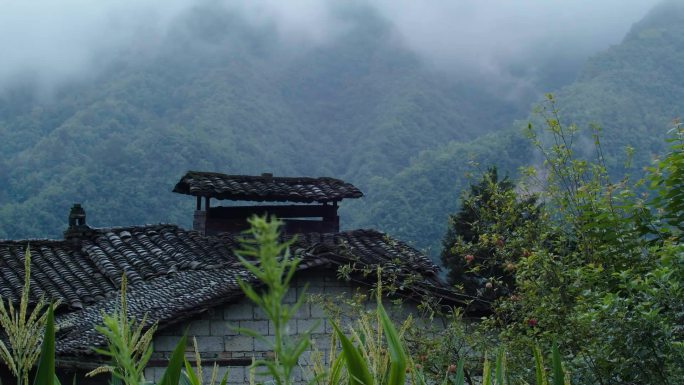 陕南 南方 山村延时 云海 雾气