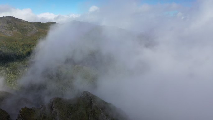 高山云雾森领云海风光