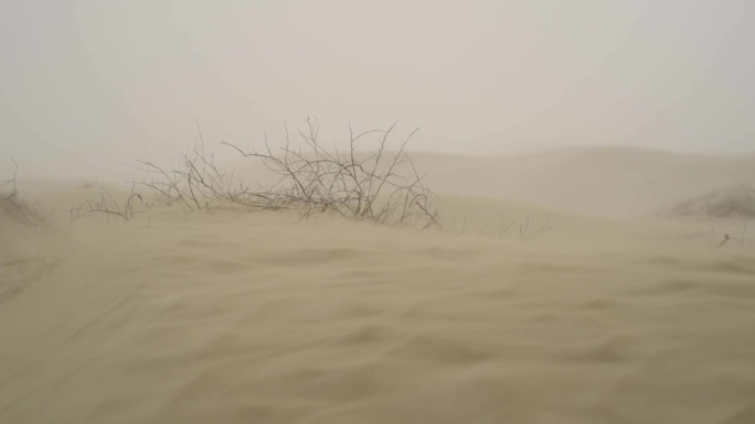 沙漠里的大风沙尘暴扬起尘土 尘土 风沙