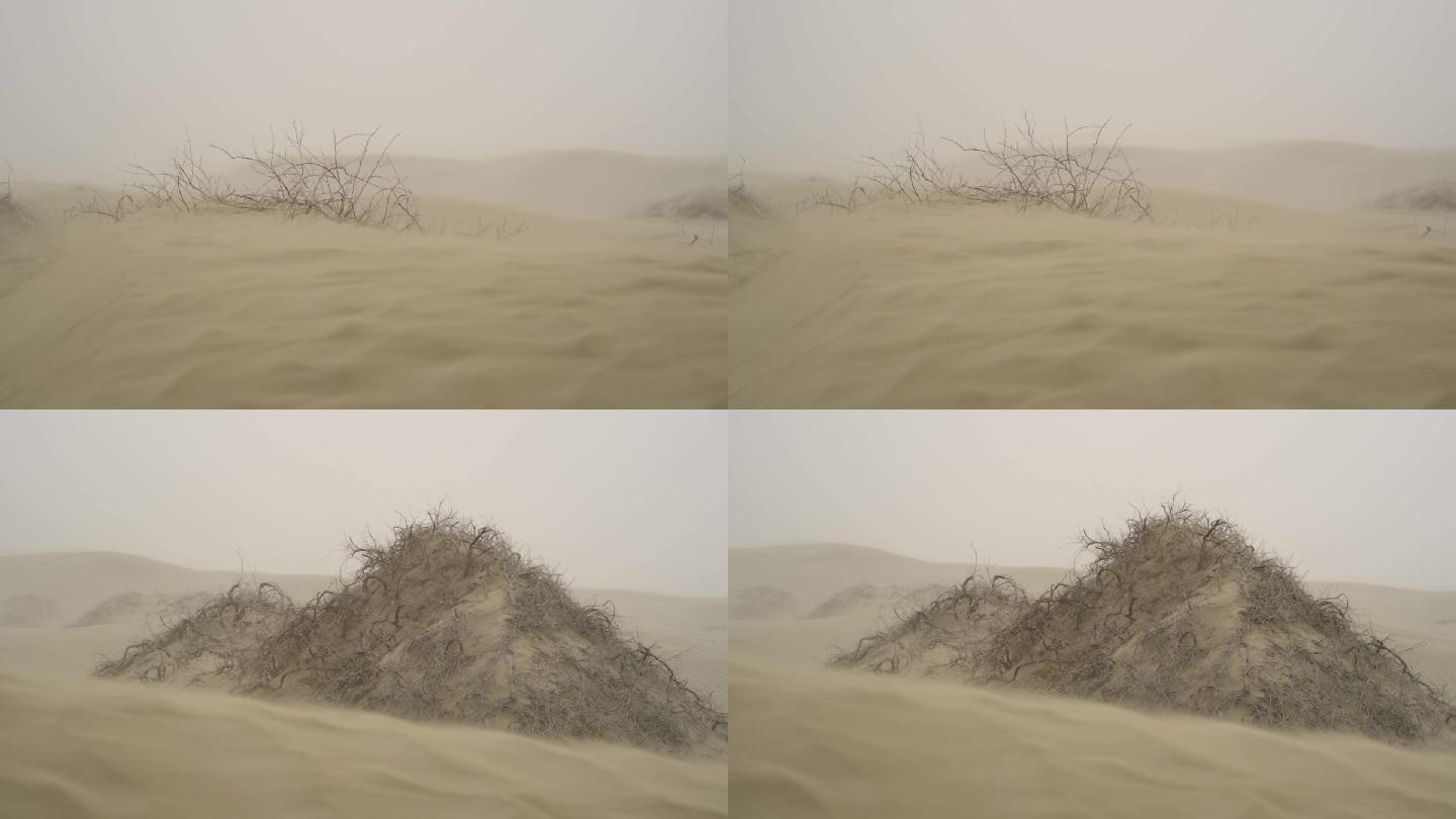 沙漠里的大风沙尘暴扬起尘土 尘土 风沙