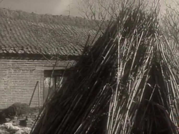 60年代农村破败房屋视频