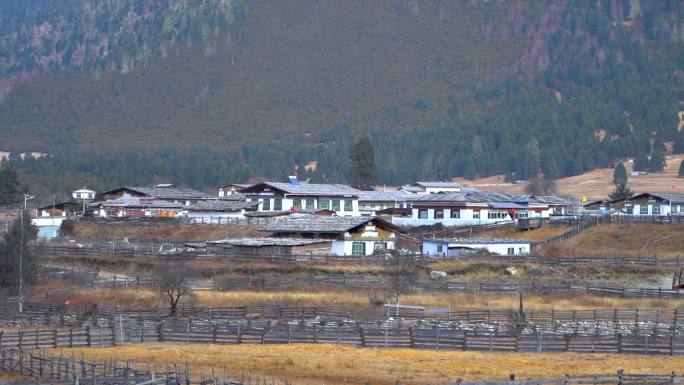 西藏林芝鲁朗镇扎西岗村