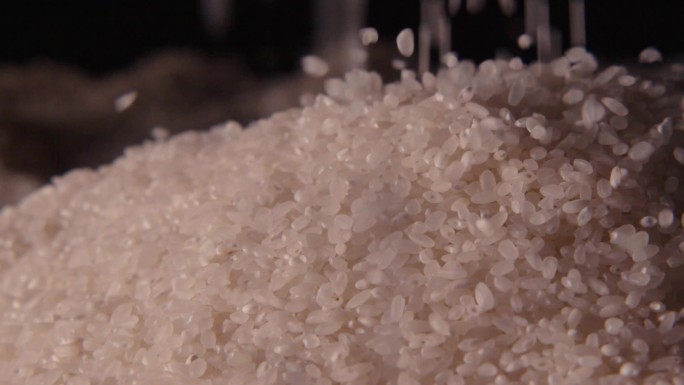 打年糕选米洗米淘米