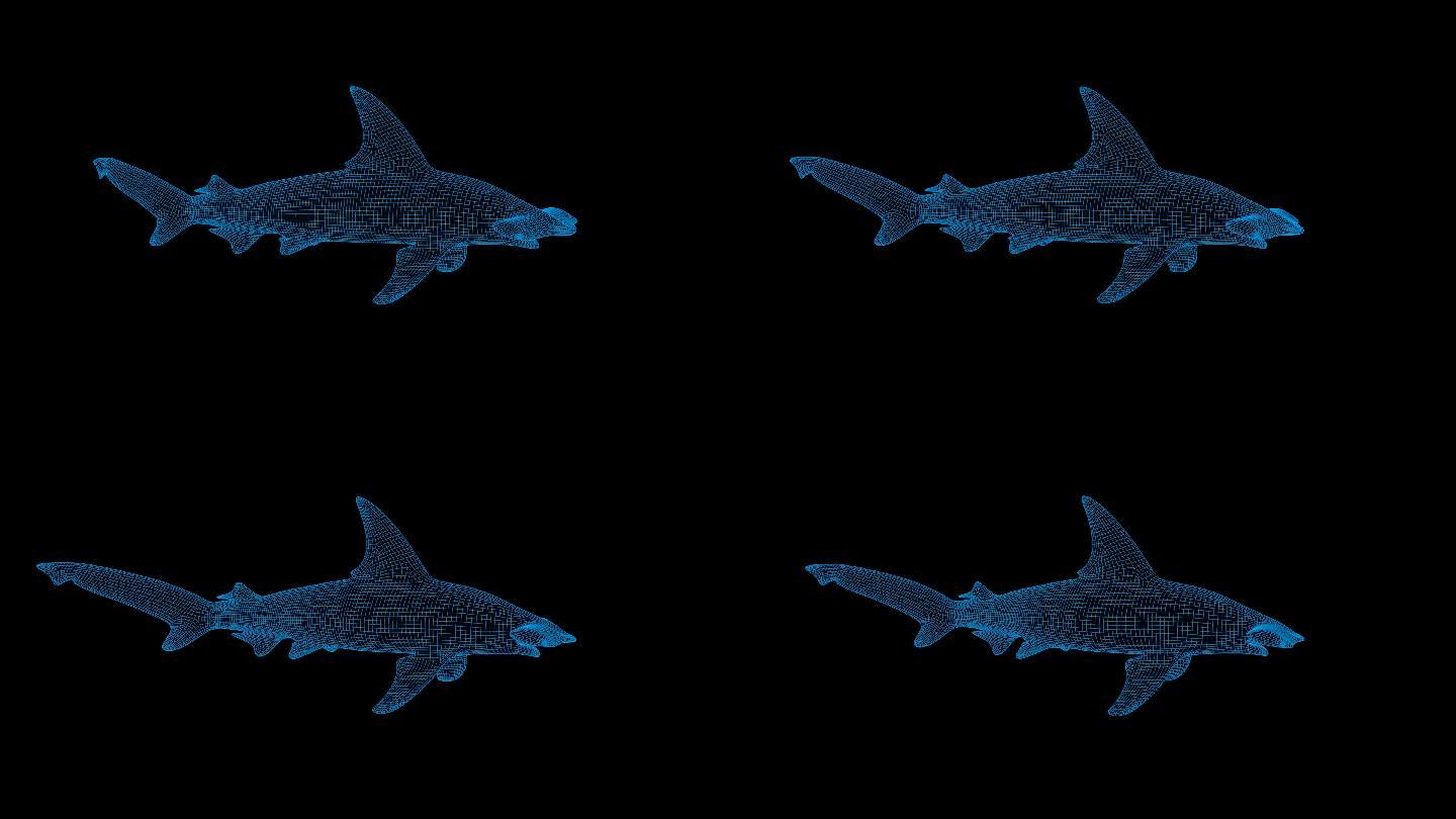 蓝色全息线框锤头鲨视频素材带通道
