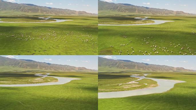 中国新疆伊犁巴音布鲁克草原与羊群