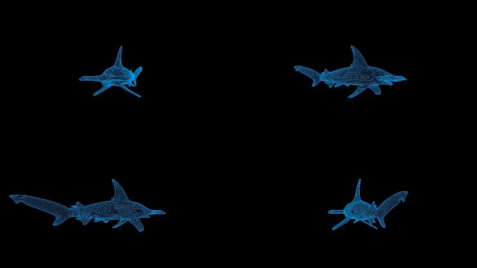 蓝色全息线框锤头鲨视频素材旋转带通道