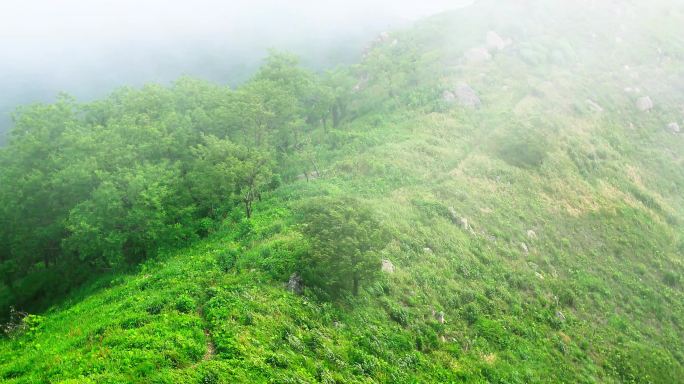 4K延时青岛午山山顶的云雾