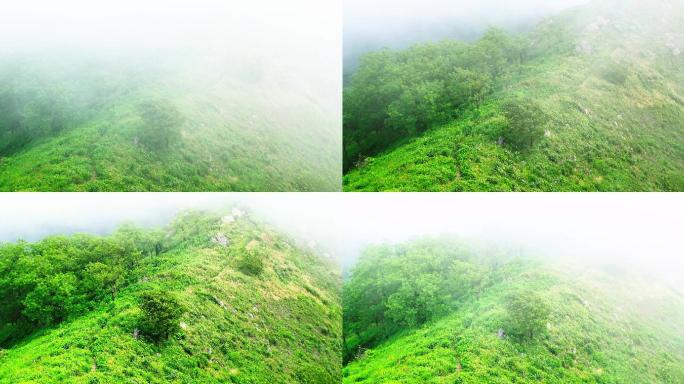 4K延时青岛午山山顶的云雾