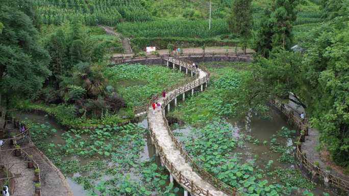 4K航拍湖北利川大水井古建筑群荷花池