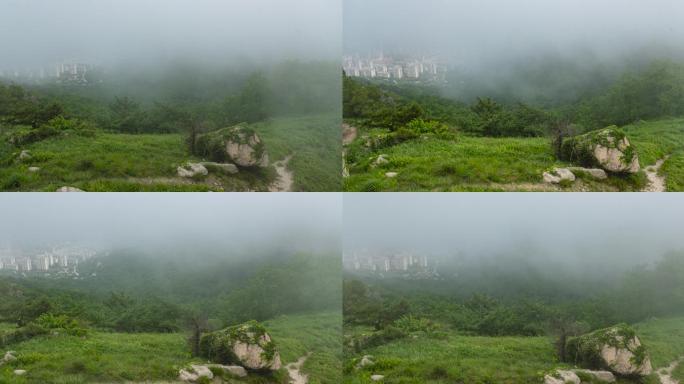 4K延时山顶草地浓雾弥漫