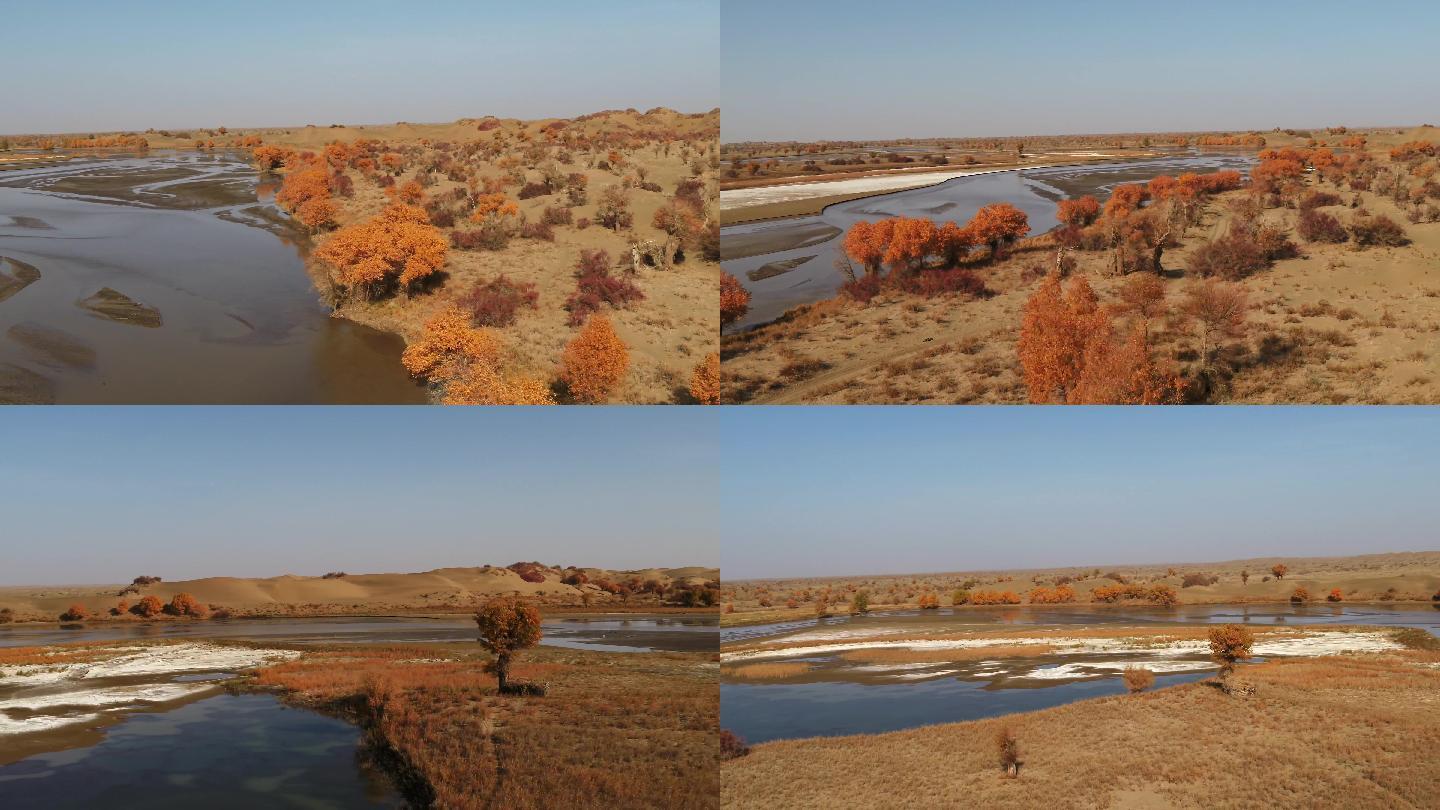 河流、流水、植物、新疆、达里雅博依