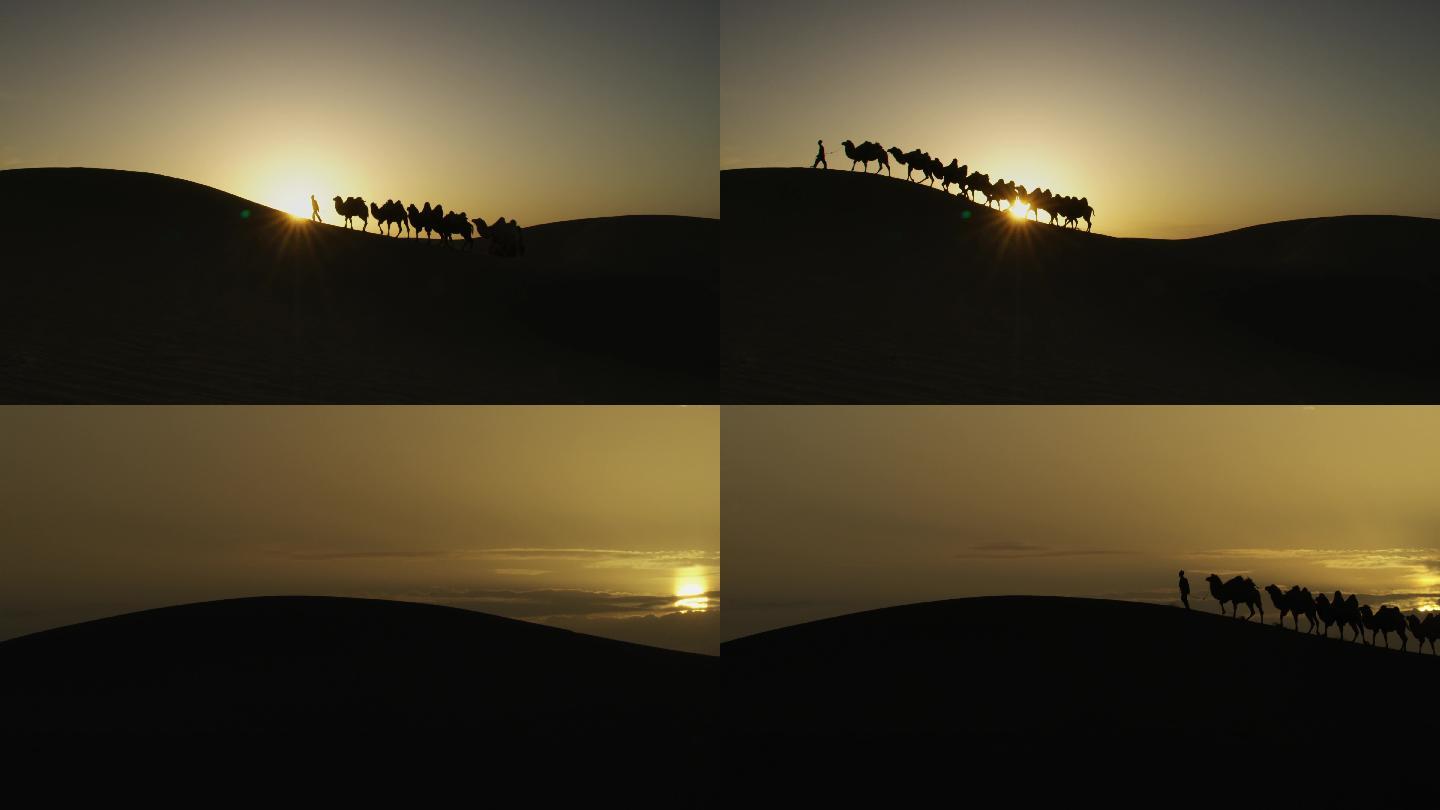 落日、光影、黄昏、大漠、沙漠、骆驼、剪影