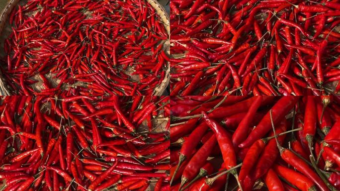 晒辣椒1（4K）