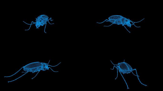 蓝色全息线框虎甲视频素材旋转带通道