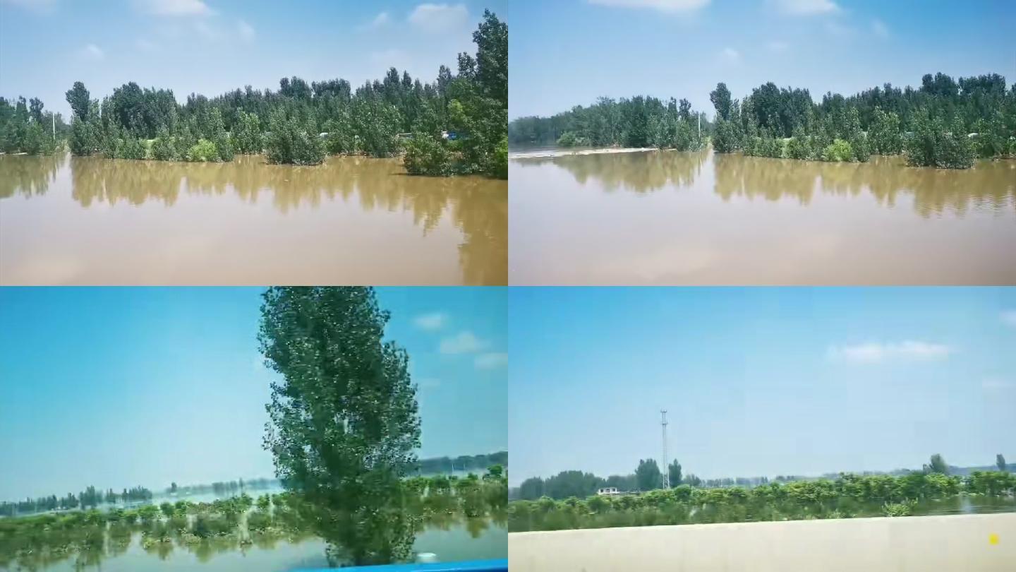 河南洪水