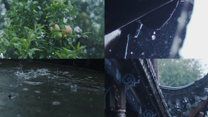 【新】4K中国风雨中美景电影机升格拍摄