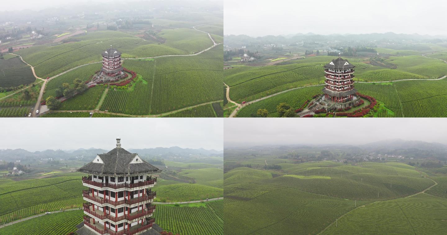 贵州省湄潭县中国茶海 4K实拍素材