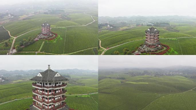 贵州省湄潭县中国茶海 4K实拍素材