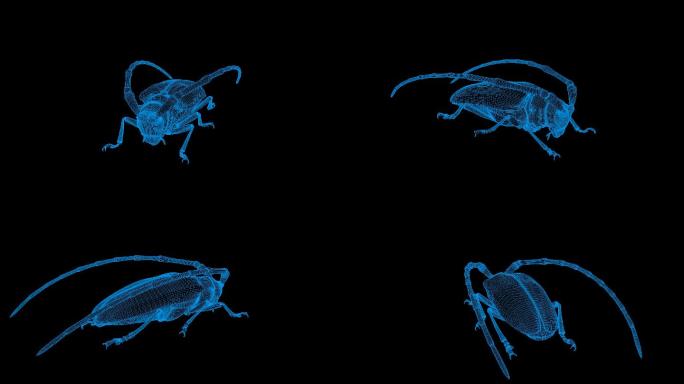 蓝色全息线框天牛视频素材旋转带通道