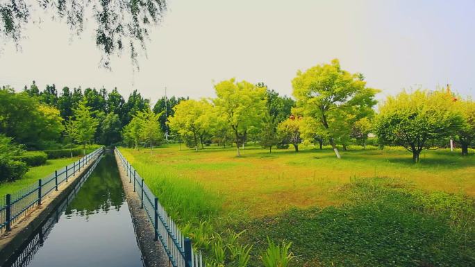公园草坪河流小河绿地