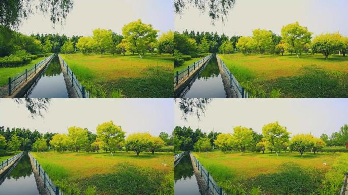 公园草坪河流小河绿地