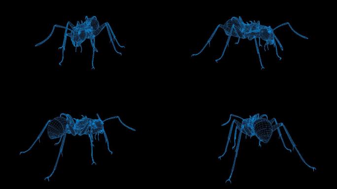 蓝色全息线框叶形多刺蚁视频素材旋转带通道