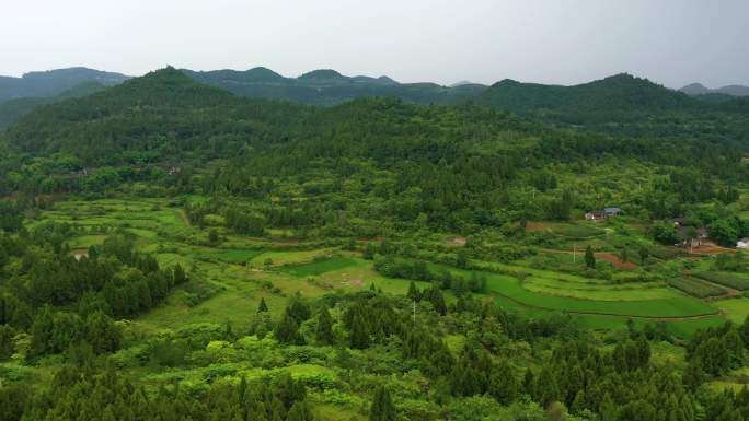 四川盆地新农村-唯美乡村