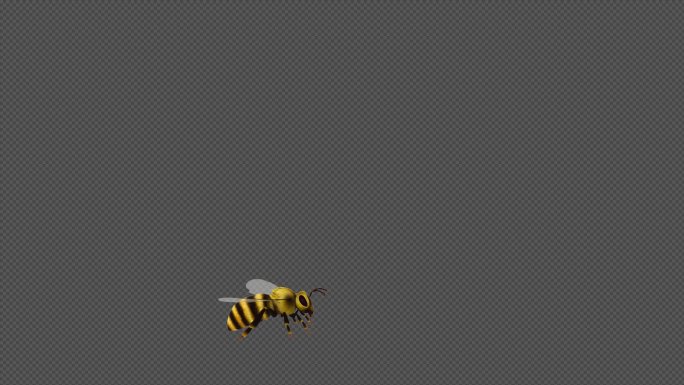 蜜蜂飞舞透明通道（Alpha通道）